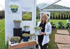 Sedum Rock ‘N Grow ‘Boogie Woogie’, a variety with variegated leaves. According to Christa, it has a nice mounded habit and be used in landscape and in combos.
